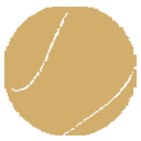 bola_bech